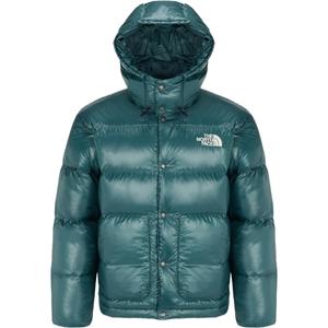 THE NORTH FACE Зеленая куртка-пуховик мужская Down Jacket Men's Green