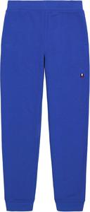Флисовые спортивные брюки-джоггеры Tommy Hilfiger для мальчиков, застежка на шнурок, Surf Tomas