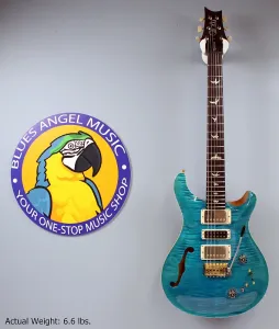 Электрогитара 2024 PRS Special 10 Top, цвет Carroll Blue