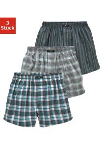 Боксеры HIS Webboxer, красочный