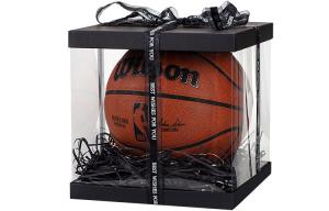 Wilson Баскетбольный мяч NBA Series PU коричнево-красный размер 7 для тренировок