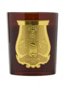 Свеча с логотипом Trudon, коричневый