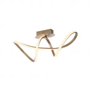 Светильник MARIA с LED-панелью, 1 шт., теплый белый свет, регулируемая яркость, Switchmo Just Light, Messingfarben matt