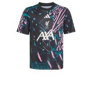 Adidas Performance Футболка Performance 'Liverpool FC 25/26' в черном цвете