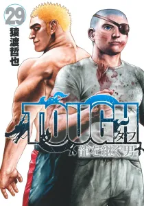 TOUGH: The Man Who Inherits the Dragon 29 (Young Jump Comics)