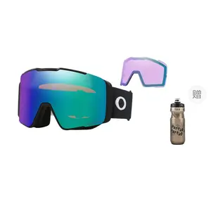 Горнолыжные очки Oakley