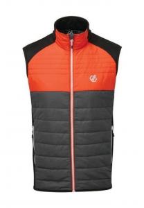 Координата жилета Dare 2B, оранжевый