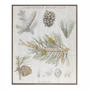 Картина Melrose International Pine Encyclopedia Print, 39 см