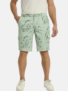 Брюки карго Jan Vanderstorm GUBBEN, цвет Pastel Green/Dark Green