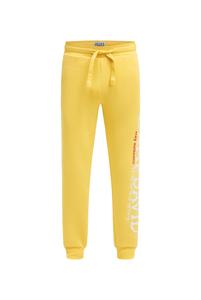 CAMP DAVID Обычные штаны желтого цвета