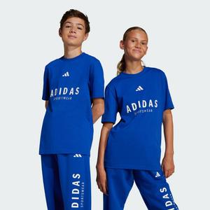 Футболка Adidas ALL SZN Graphic Tee Kids, цвет Royal Blue/Royal Blue