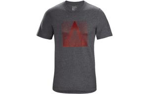 Футболка мужская Arcteryx, серый