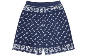 Повседневные шорты мужские темно-синие Dickies, темно-синий