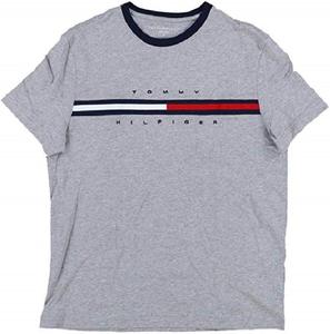 Мужская футболка с коротким рукавом и логотипом Tommy Hilfiger, Gray