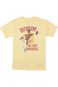 Футболка / футболка с коротким рукавом для взрослых Batman Classic Tv Boy Wonder Gildan, цвет banana