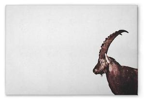 Картина на холсте A.S. Création Capricorn Snow цвет graubraunschwarz