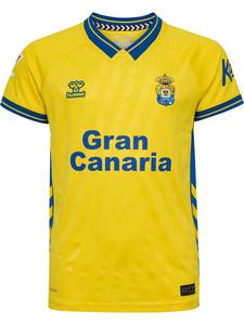 Футболка Performance Hummel UDLP 25/26 Home, желтый