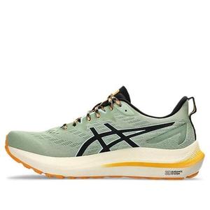 Кроссовки gt-2000 12 tr 'nature bathing - green fellow yellow' Asics, мультиколор