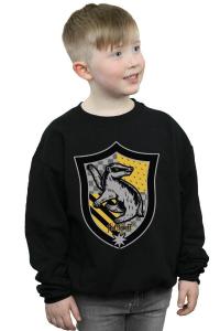 Толстовка с гербом Хаффлпаффа на плоской подошве Harry Potter, черный