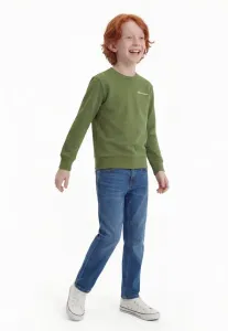 Свитшот icons с круглым вырезом Champion, Olive