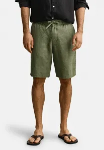 Обычные однотонные шорты Gant, Dry Herb Green