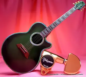 Колки Takamine Pro Series TP0516, набор из 6 шт. / оригинальная деталь / золото с золотым скосом на плечике