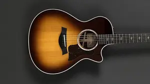 Taylor 412CE Розовое дерево