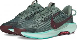 Кроссовки Nike Kids  Pegasus Trail 5, Clay Green/Mint Foam/Bleached Turquoise