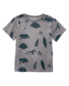 Футболка Chaser Camper Dream Chaser, серый