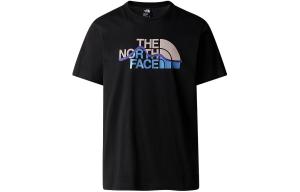 Футболка мужская черная The North Face, черный
