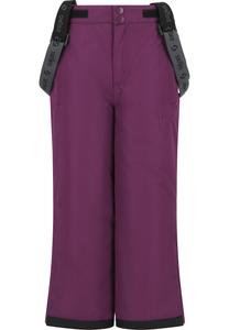Обычные спортивные штаны ZigZag Soho, фиолетовый