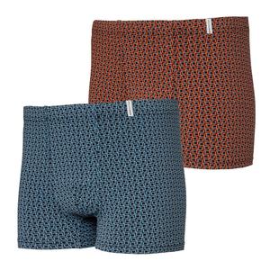 Боксеры Haasis Bodywear 2er-Set: Pants, цвет schwarz/print