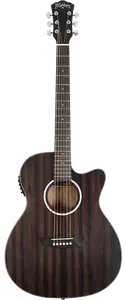 Washburn Deep Forest Ebony ACE
