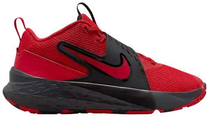 Кроссовки Nike Team Hustle D 12 GS, красный