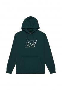 Худи DC Shoes HAMPDEN, Gtp Ponderosa Pine/Green