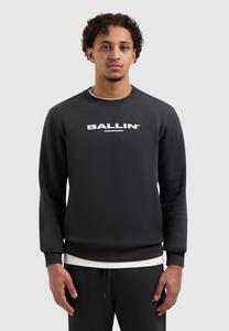 Толстовка Ballin REGULAR FIT CREWNECK , Antra/Dark Grey