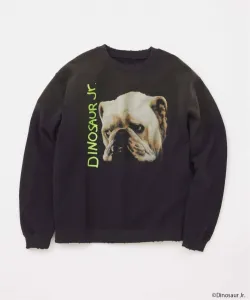 Свитшот с принтом «Динозавр младший»/Dinosaur Jr Journal Standard, цвет Black