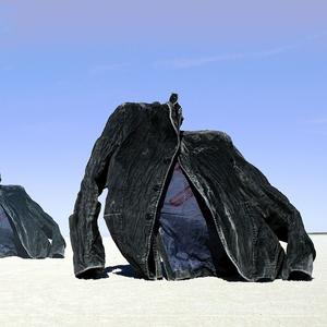 Диск CD Raising Your Voice...Trying To Stop An Echo [Deluxe Edition] - Hammock