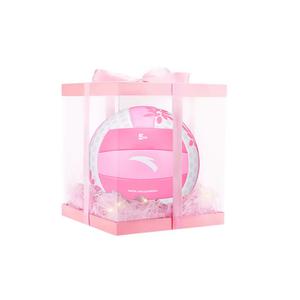 Волейбольный мяч pvc для зала и улицы взрослые, студенты, стандартный размер 5 ANTA