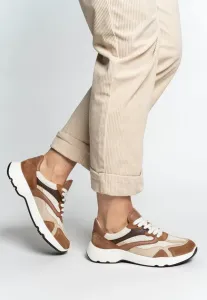 Бостонские тренеры Ara, Braun