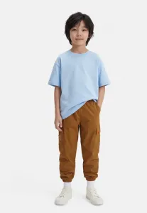 Унисекс спортивные штаны minecraft Adidas Terrex, Brown Desert