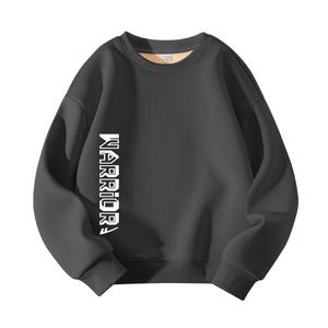 Детский свитшот с круглым вырезом утолщенный WARRIOR, medium серый/h hollow out english right bottom