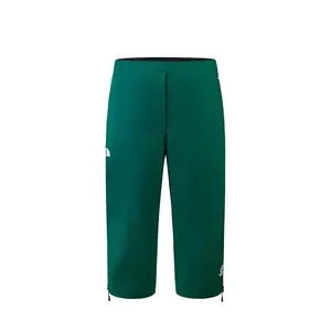 Мужские повседневные шорты SUMMIT The North Face, bo8/зеленый