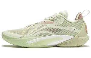 Баскетбольные кроссовки Speed 10 мужские низкие зеленые Lining