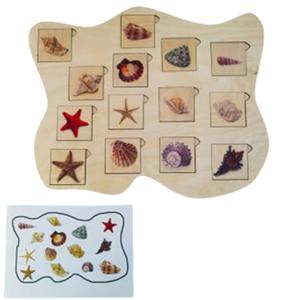 Ракушки, деревянный пазл, картографирование, виды ракушек. Inna marka