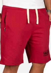 Тканевые шорты Alessandro Salvarini AS-130, бордо