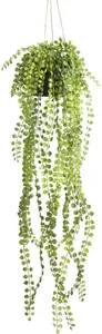 Искусственное комнатное растение Botanic-Haus "Подвесная корзина Ficus Pumila" Ø/19х60 см, зеленый