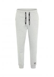 Спортивные штаны с логотипом и этикеткой. Chiemsee, серый