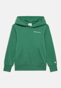 Худи с контрастными иконками Champion, Green