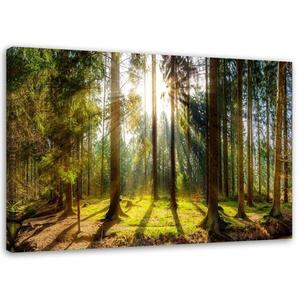 Картина Feeby Wald Landschaft Sonnenstrahlen, 100x70x2 см, зеленый
